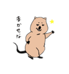 クォッカちゃんのお返事（個別スタンプ：14）