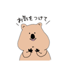 クォッカちゃんのお返事（個別スタンプ：15）