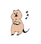 クォッカちゃんのお返事（個別スタンプ：18）