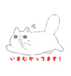 しろねこかびちゃん（個別スタンプ：16）