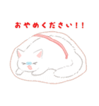 しろねこかびちゃん（個別スタンプ：30）