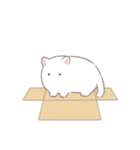 しろねこかびちゃん（個別スタンプ：38）