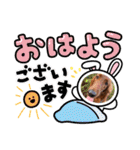 アイリッシュセターElumo（個別スタンプ：8）