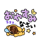 アイリッシュセターElumo（個別スタンプ：9）