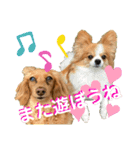 ロア＆モアスタンプby PET HONOKA（個別スタンプ：15）