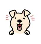 らぶしばわんこ きなこ（個別スタンプ：3）