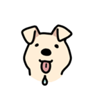 らぶしばわんこ きなこ（個別スタンプ：4）