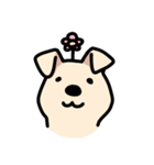 らぶしばわんこ きなこ（個別スタンプ：6）