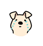 らぶしばわんこ きなこ（個別スタンプ：9）