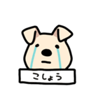 らぶしばわんこ きなこ（個別スタンプ：14）