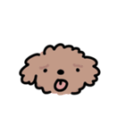 らぶしばわんこ きなこ（個別スタンプ：16）