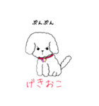 白トイプーのNICOちゃん（個別スタンプ：2）