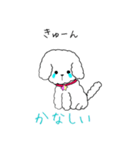 白トイプーのNICOちゃん（個別スタンプ：4）