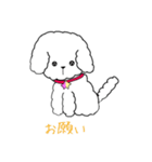 白トイプーのNICOちゃん（個別スタンプ：7）