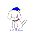 白トイプーのNICOちゃん（個別スタンプ：8）