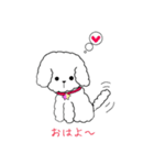 白トイプーのNICOちゃん（個別スタンプ：9）