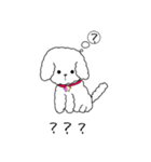 白トイプーのNICOちゃん（個別スタンプ：10）