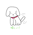 白トイプーのNICOちゃん（個別スタンプ：11）