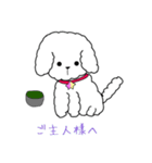 白トイプーのNICOちゃん（個別スタンプ：12）