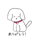 白トイプーのNICOちゃん（個別スタンプ：14）