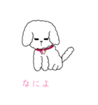 白トイプーのNICOちゃん（個別スタンプ：15）