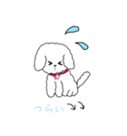白トイプーのNICOちゃん（個別スタンプ：16）