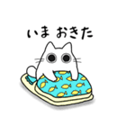 もちゃねこ白（個別スタンプ：1）