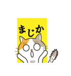 野球観戦猫（個別スタンプ：9）