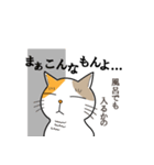 野球観戦猫（個別スタンプ：11）