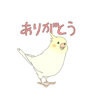 オカメインコ はっぱ（個別スタンプ：5）