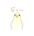 オカメインコ はっぱ（個別スタンプ：19）