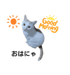 cat talk lovecat（個別スタンプ：3）