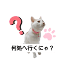 cat talk lovecat（個別スタンプ：7）