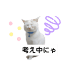 cat talk lovecat（個別スタンプ：17）