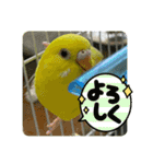 ゆきちゃん宅スタンプ29（個別スタンプ：4）