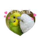 ゆきちゃん宅スタンプ29（個別スタンプ：13）