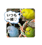 ゆきちゃん宅スタンプ29（個別スタンプ：19）