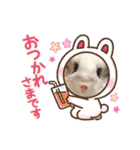 チンチラのみっちゃん♡（個別スタンプ：10）