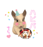 チンチラのみっちゃん♡（個別スタンプ：23）