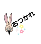 きもかわデカ文字うさぎ仙人（個別スタンプ：16）