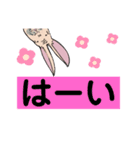 きもかわデカ文字うさぎ仙人（個別スタンプ：24）
