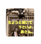 パオラ＆オルタ②（個別スタンプ：14）