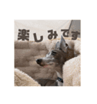 パオラ＆オルタ②（個別スタンプ：21）