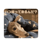 パオラ＆オルタ②（個別スタンプ：24）