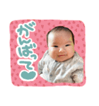 ひーちゃんべびーすたんぷ（個別スタンプ：6）