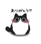 もちゃねこハチワレ（個別スタンプ：11）