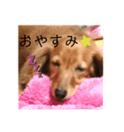 カレンぷ（個別スタンプ：3）