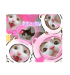 からあげは猫の名前です。part3（個別スタンプ：1）