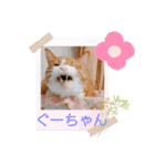 からあげは猫の名前です。part3（個別スタンプ：6）