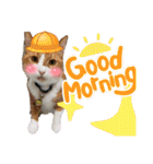 からあげは猫の名前です。part3（個別スタンプ：11）